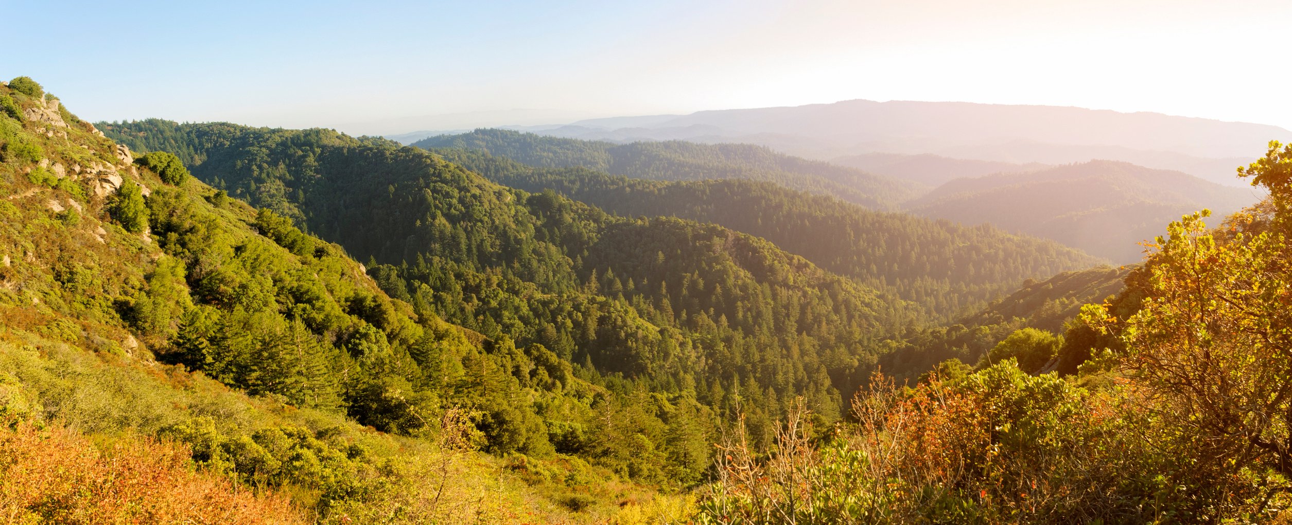 Santa Cruz Mountains